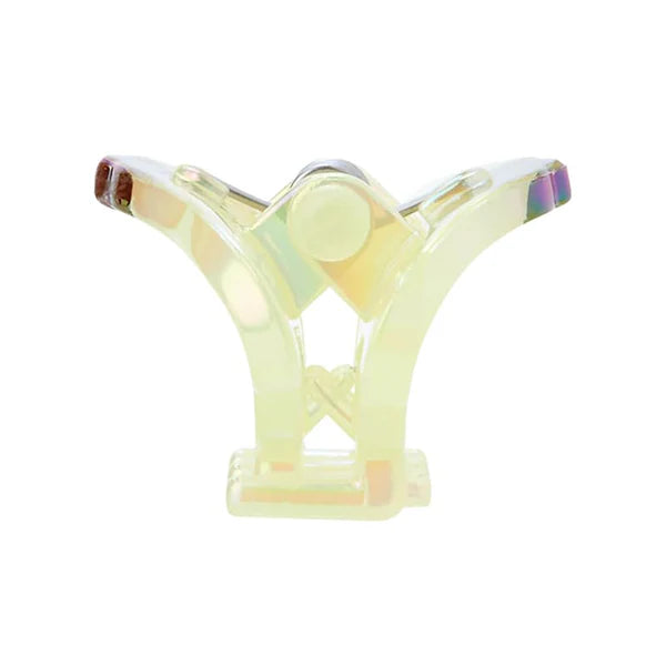 Pompompurin Aurora Hair Clip