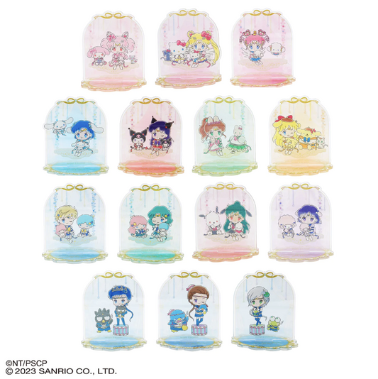Pretty Guardian Sailor Moon Cosmos Acrylic Stand Blind Box