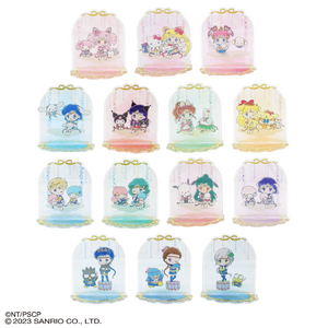 Pretty Guardian Sailor Moon Cosmos Acrylic Stand Blind Box